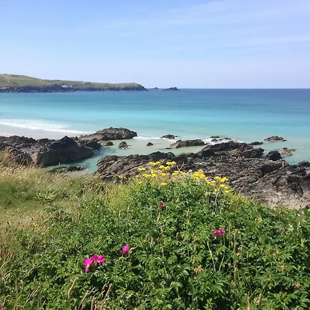 Smarties New Quay